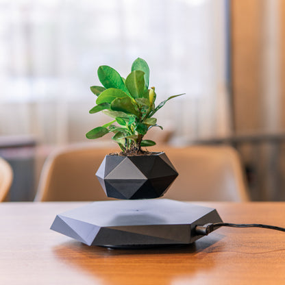 QUANTUM MAGIC Magnetic Levitating Flower Planter