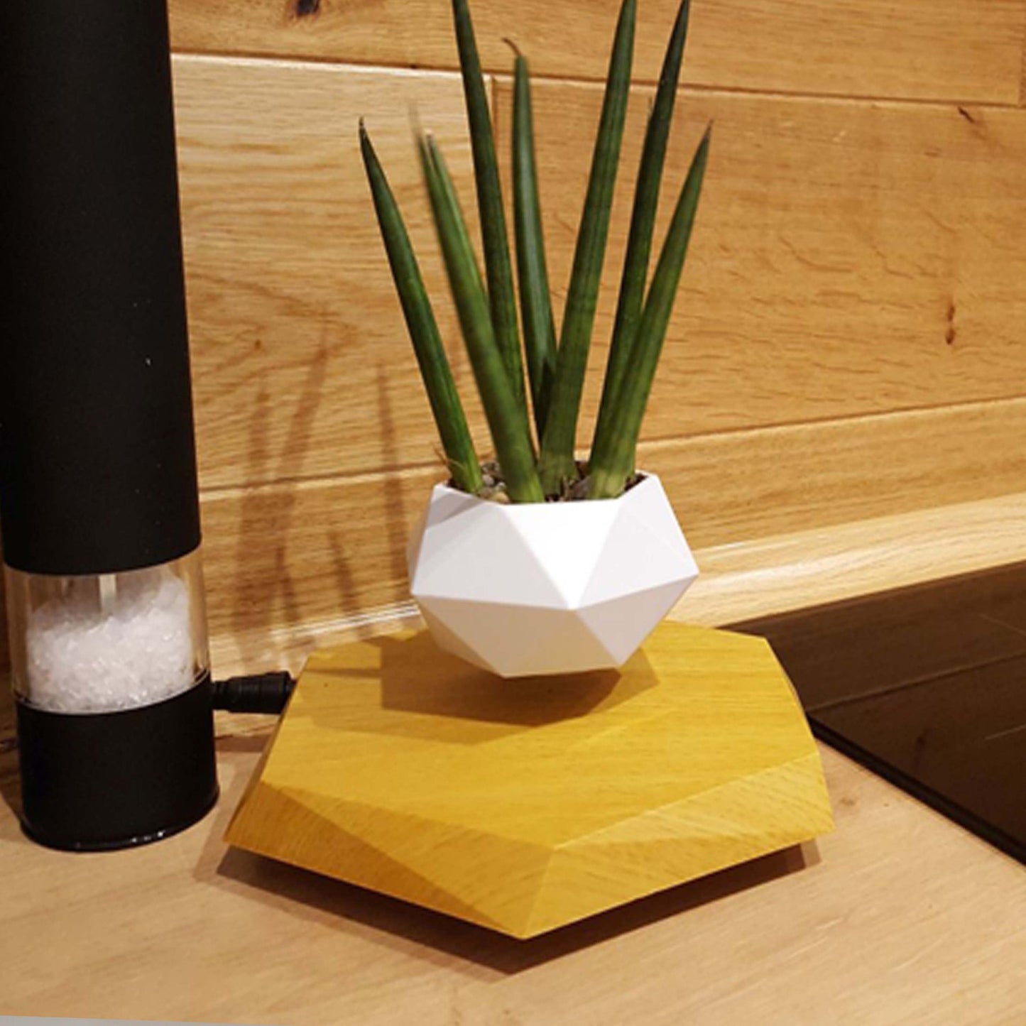 QUANTUM MAGIC Magnetic Levitating Flower Planter