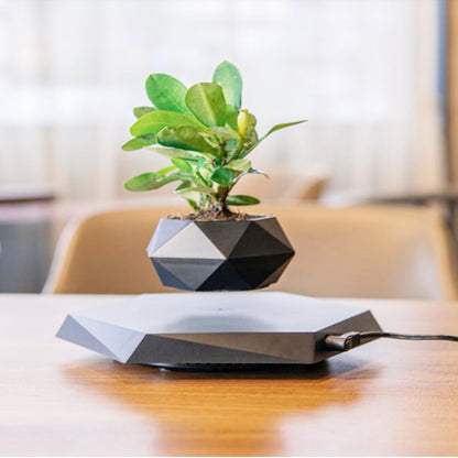 QUANTUM MAGIC Magnetic Levitating Flower Planter